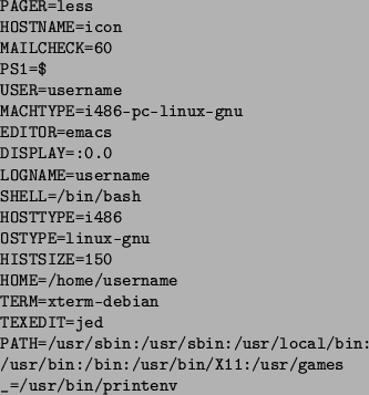 \begin{figure}\par\par\begin{list}{}{
\setlength{\rightmargin}{\leftmargin} \ra...
...ables}\index{shells!environments}
\par\_=/usr/bin/printenv\end{list}\end{figure}